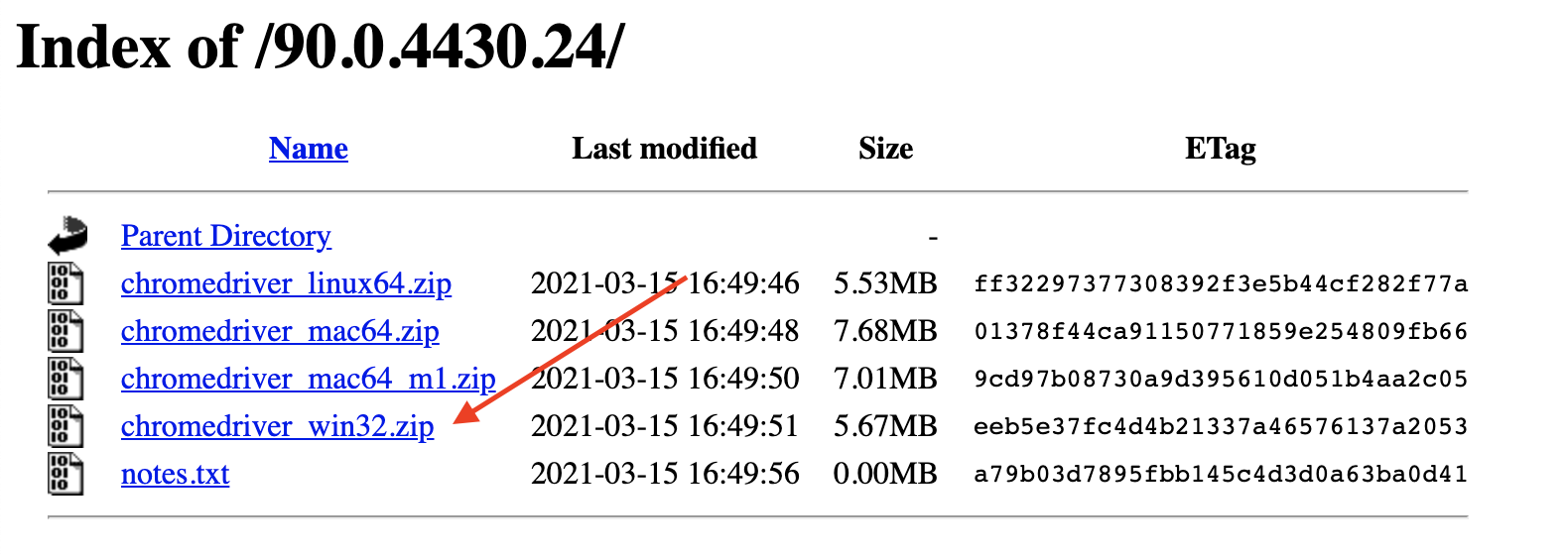 Chrome Driver Zip File